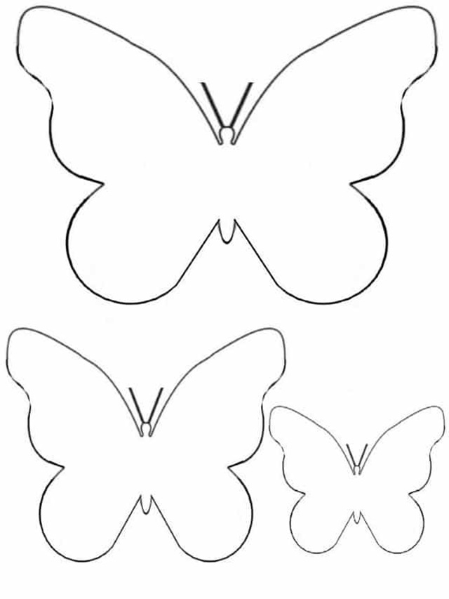 borboleta de feltro molde