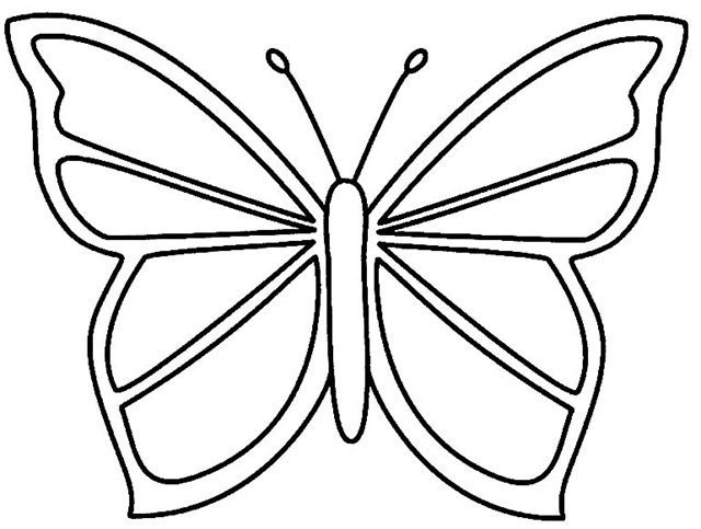 borboleta de eva